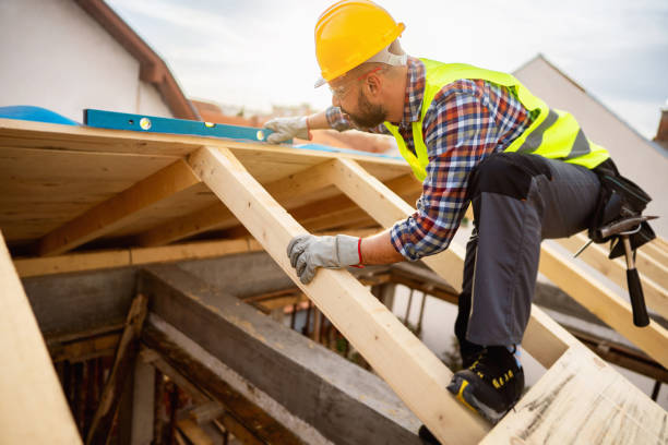 Best Roof Gutter Cleaning  in Lakeview, CA