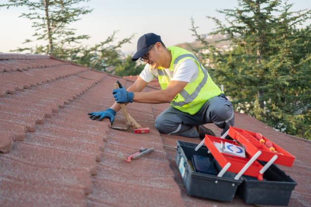 Best Emergency Roof Repair  in Lakeview, CA
