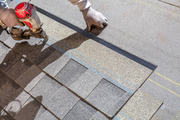 Best Metal Roofing Contractor  in Lakeview, CA